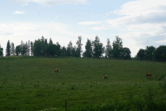 DSC00309-kopio