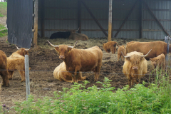 DSC00311-kopio