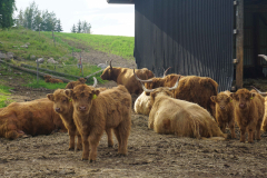 DSC00334-kopio